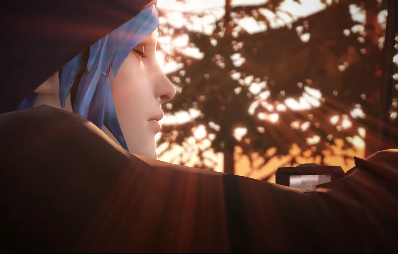 Photo wallpaper game, Life eats range, epozoda1