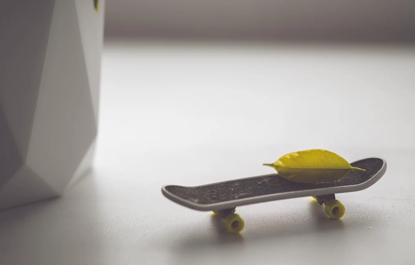 Photo wallpaper macro, green, toy, skate, skateboard, a piece of paper. leaves