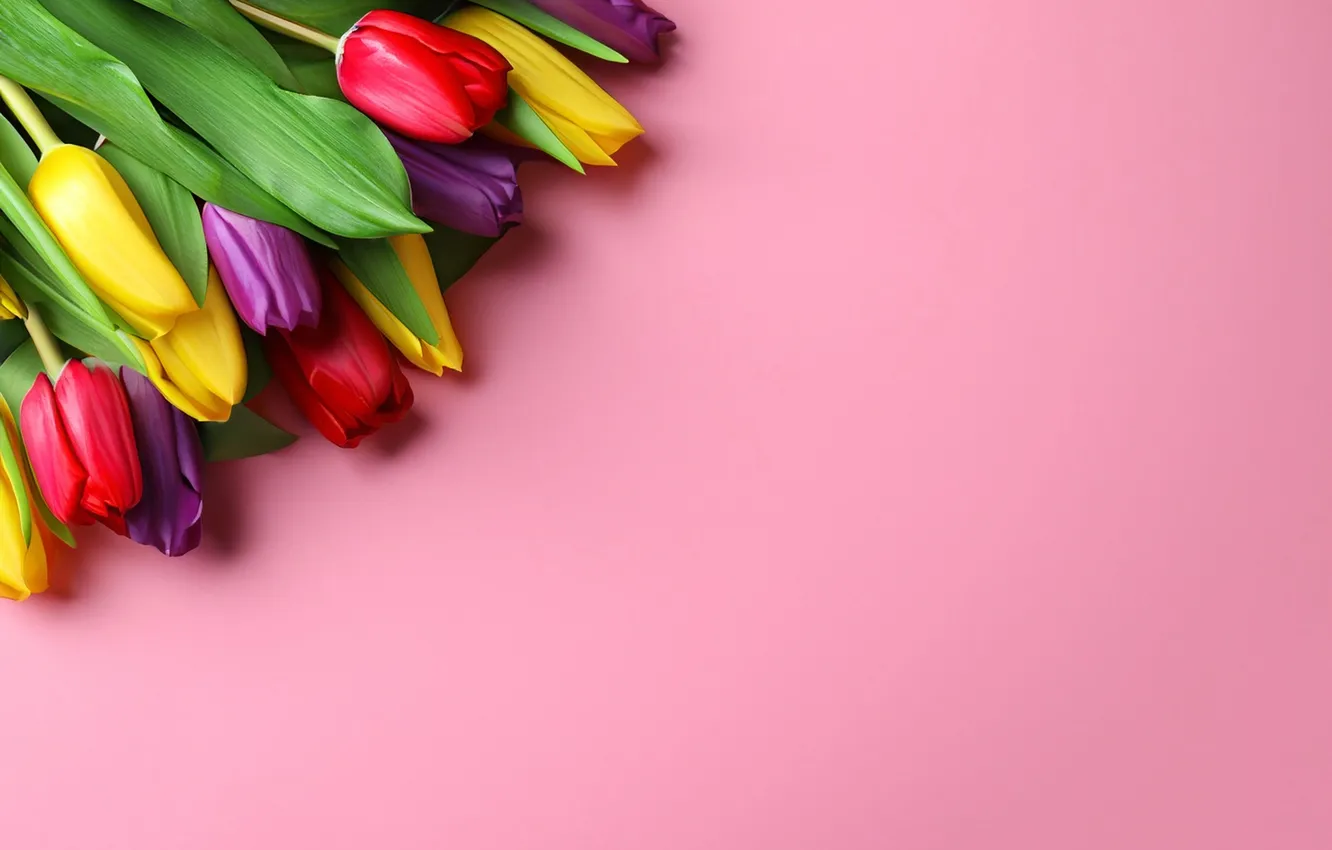 Photo wallpaper flowers, bouquet, colorful, tulips, flowers, tulips, spring, bouquet