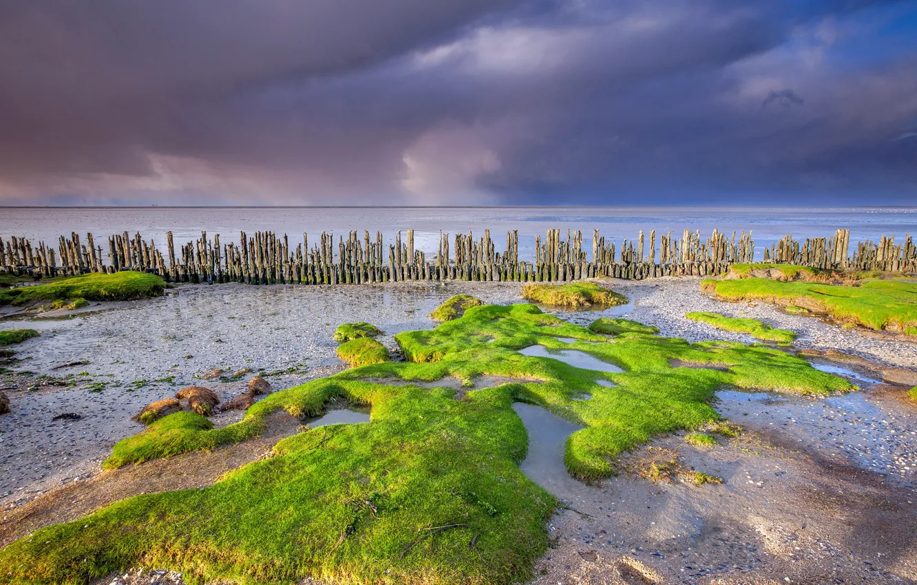 Photo wallpaper sand, clouds, clouds, green grass, coast, horizon, space, Netherlands