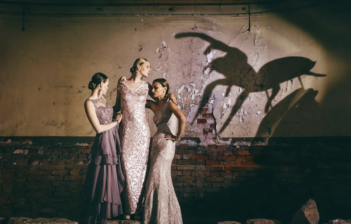 Photo wallpaper girl, wall, shadow