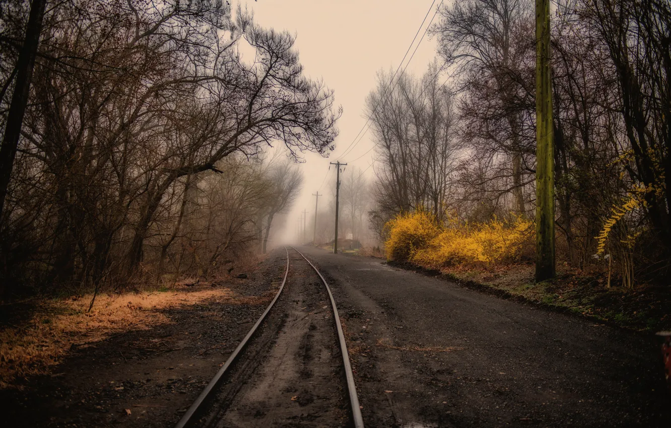 Photo wallpaper fog, railroad, power lines