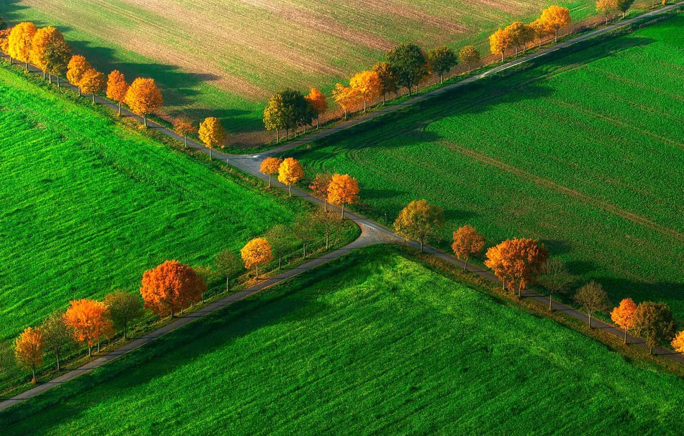 Photo wallpaper field, autumn, trees, Germany, North Rhine-Westphalia, Nottuln