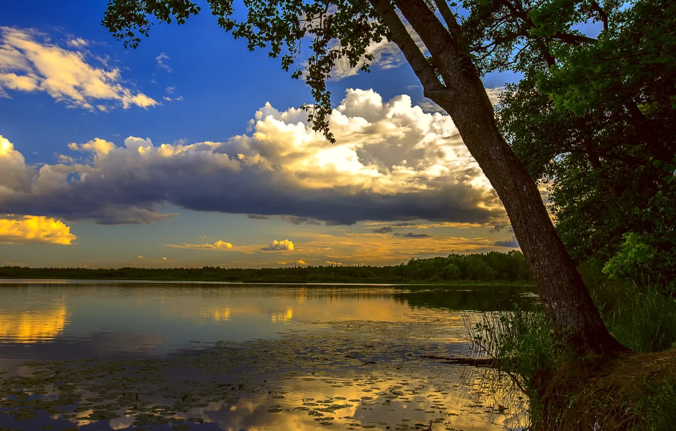 Photo wallpaper the sky, clouds, trees, sunset, branches, reflection, river