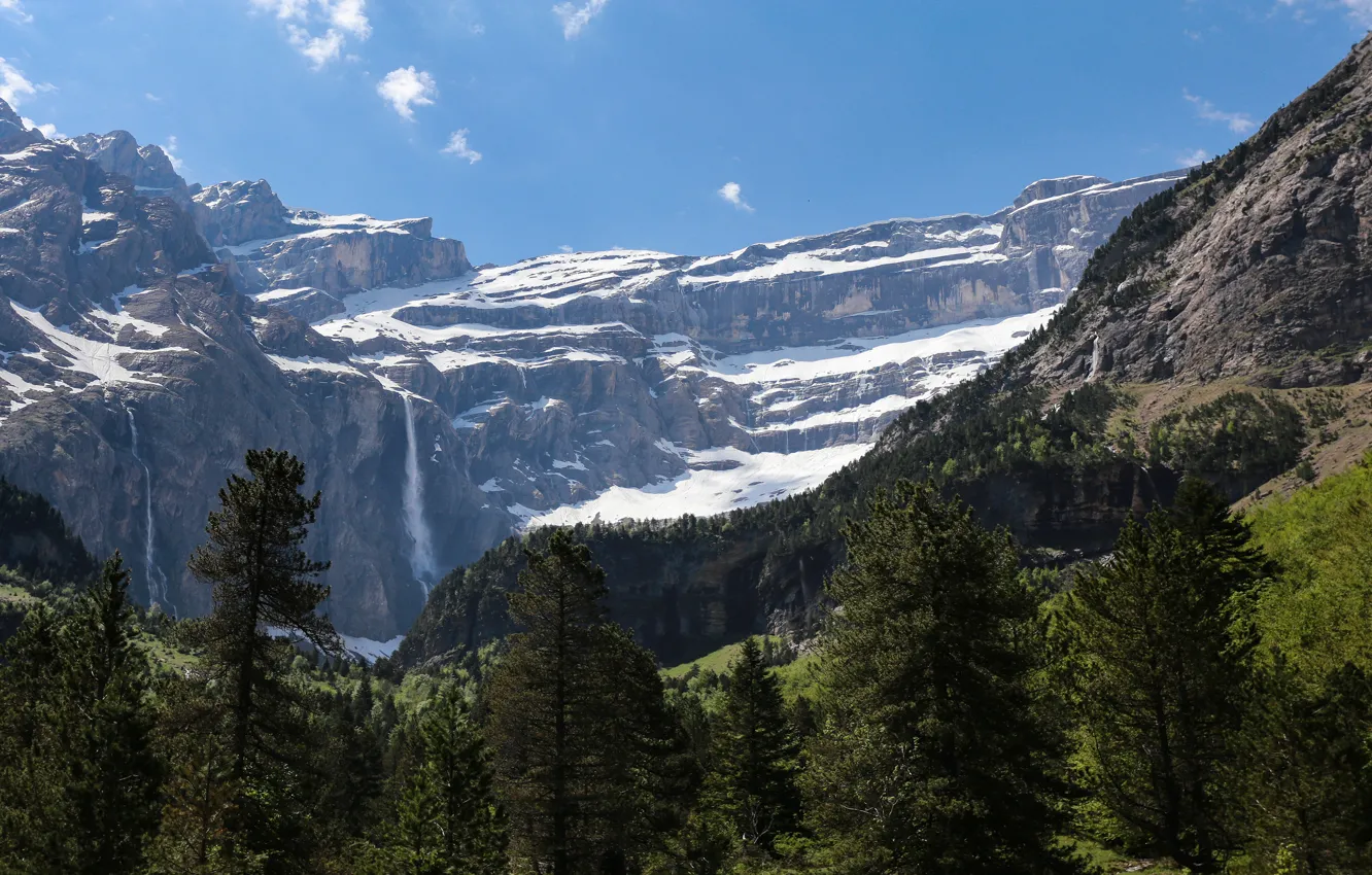 Photo wallpaper forest, the sky, snow, trees, mountains, blue, rocks, ate