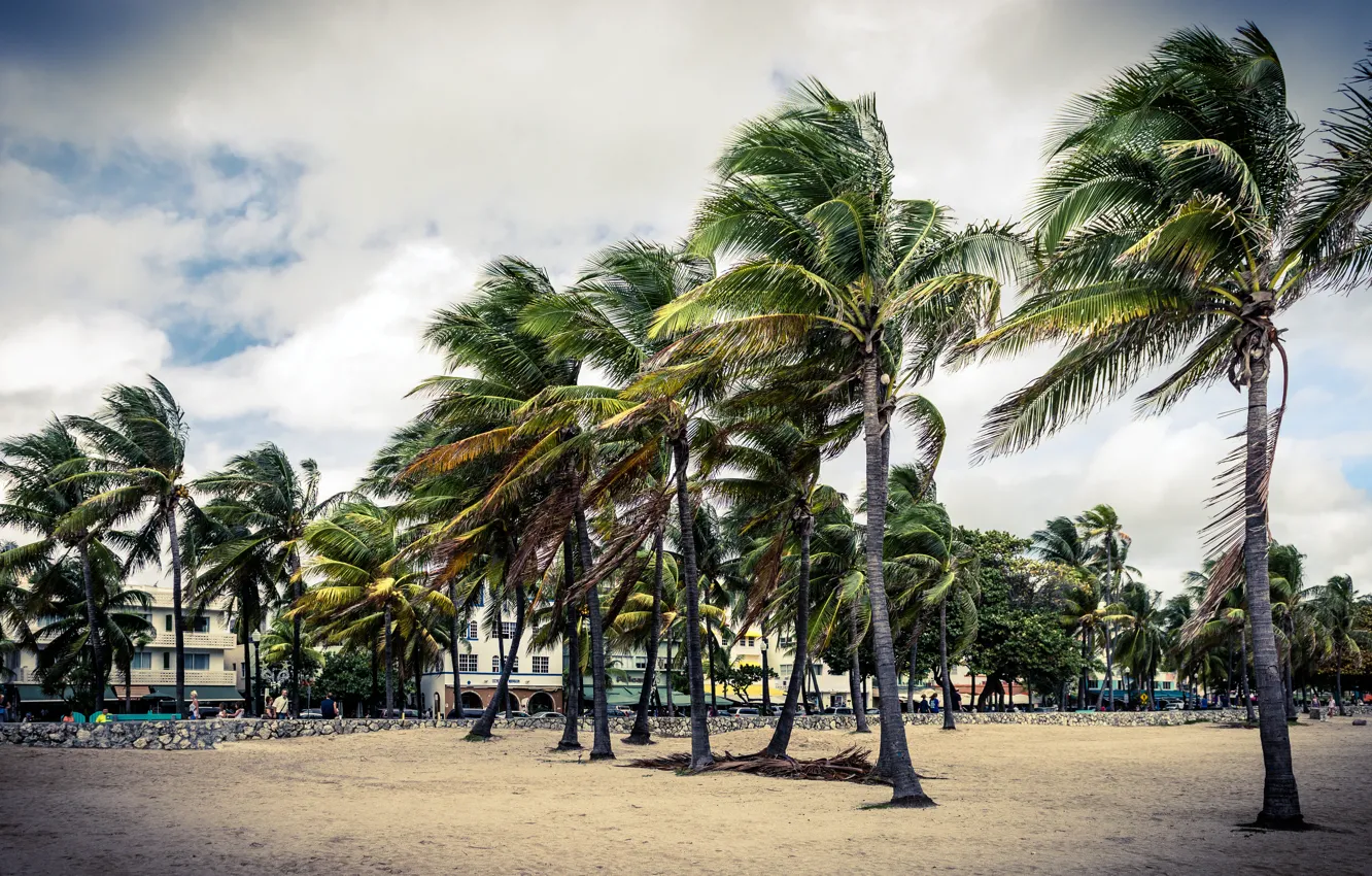 Photo wallpaper sand, the sky, clouds, Park, palm trees, people, building, home