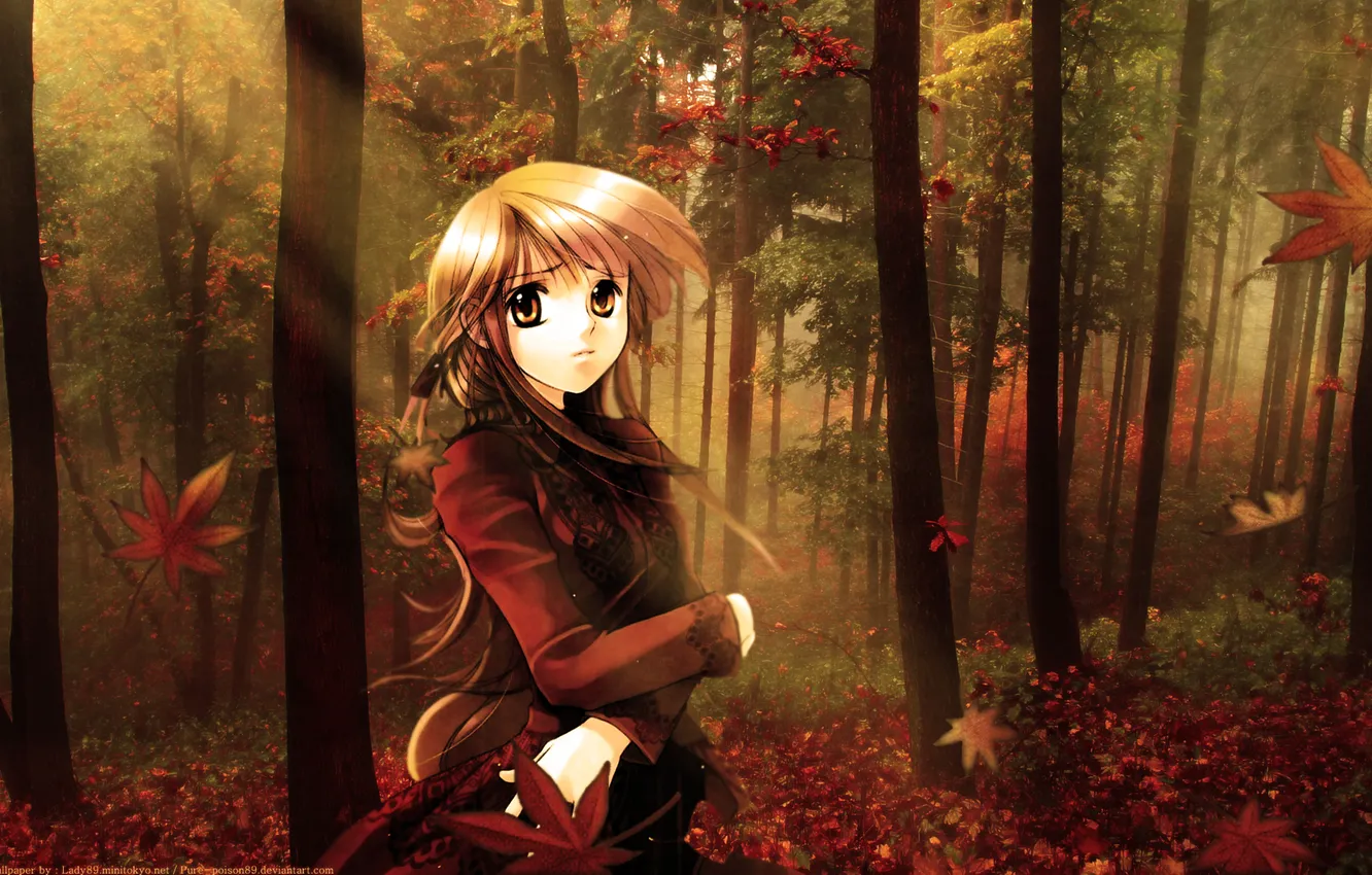 Photo wallpaper autumn, girl, foliage