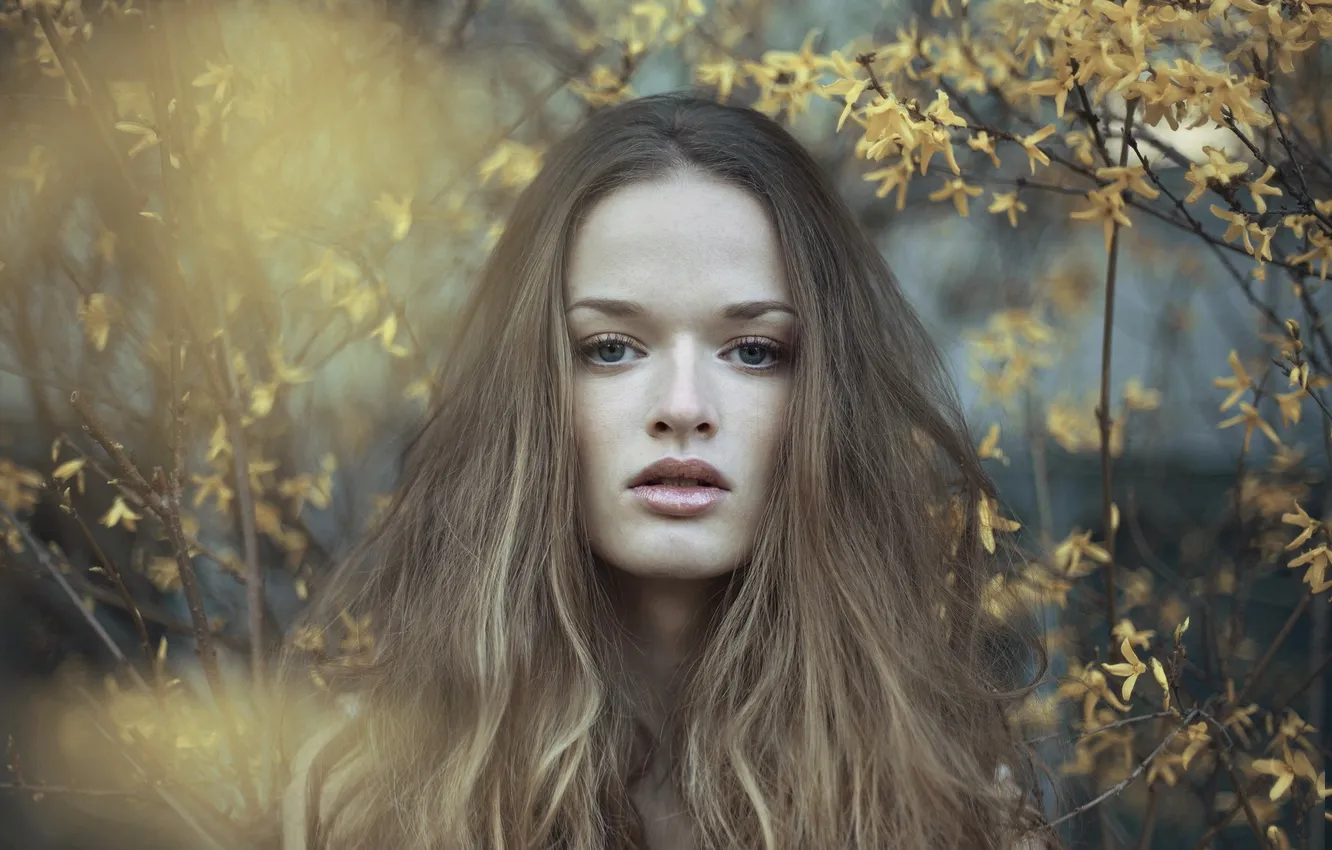 Photo wallpaper girl, portrait, spring