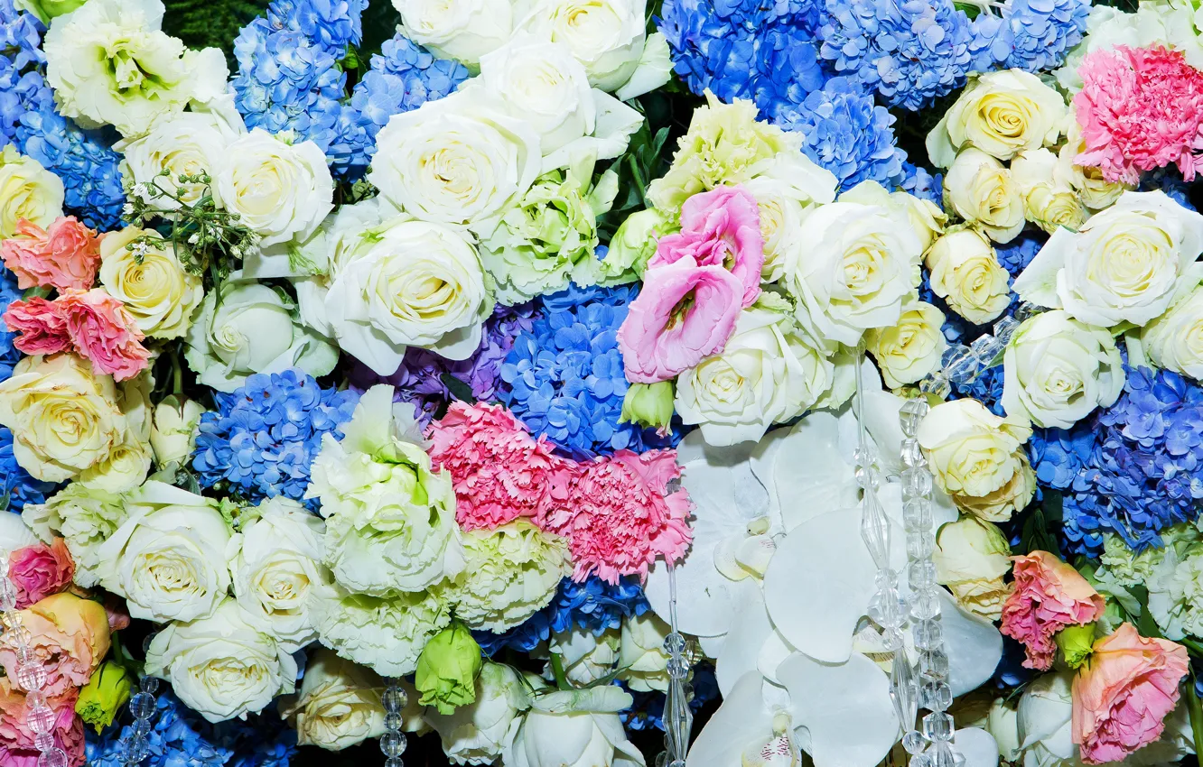 Photo wallpaper flowers, roses, colorful, white, blue, pink, flowers, roses