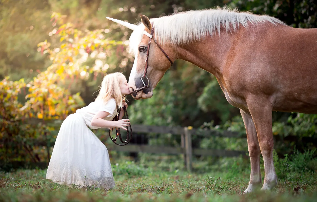 Photo wallpaper kiss, girl, horses