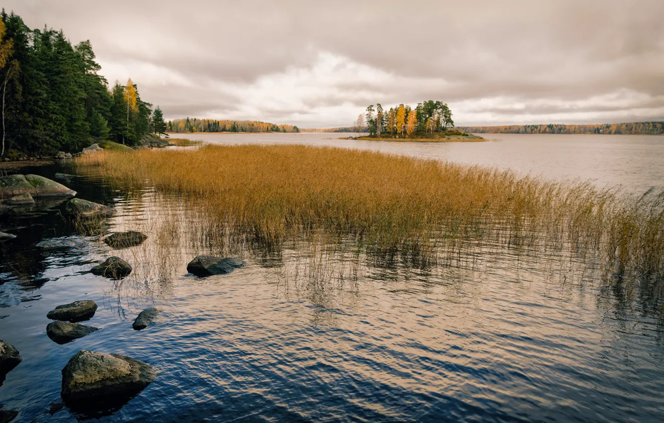 Photo wallpaper Russia, Love island, Leningrad Oblast, Vyborg, Monrepos park