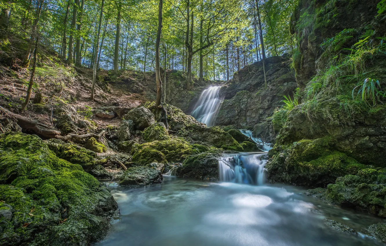 Photo wallpaper trees, river, waterfall, moss, Germany, Bayern, Germany, Bavaria