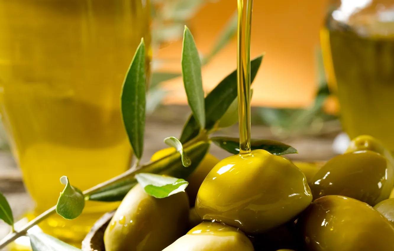Photo wallpaper oil, branch, olives, bokeh