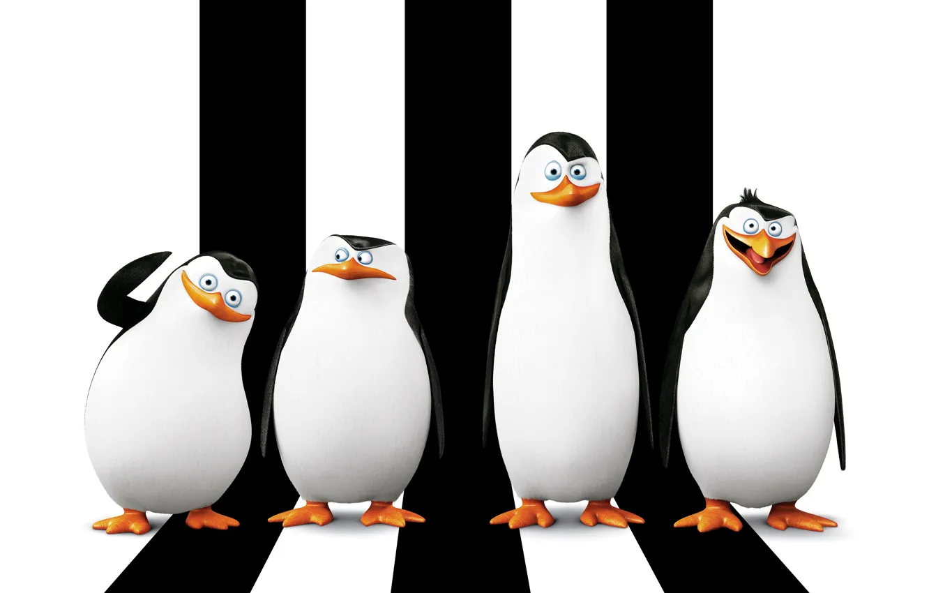 Photo wallpaper cartoon, Rico, Skipper, Kowalski, Classified, Corporal, Penguins of Madagascar, Kowalski