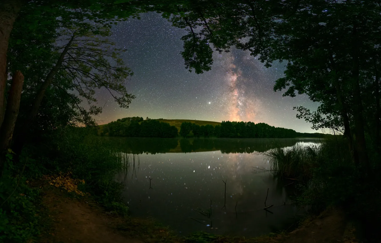Photo wallpaper stars, trees, landscape, night, nature, lake