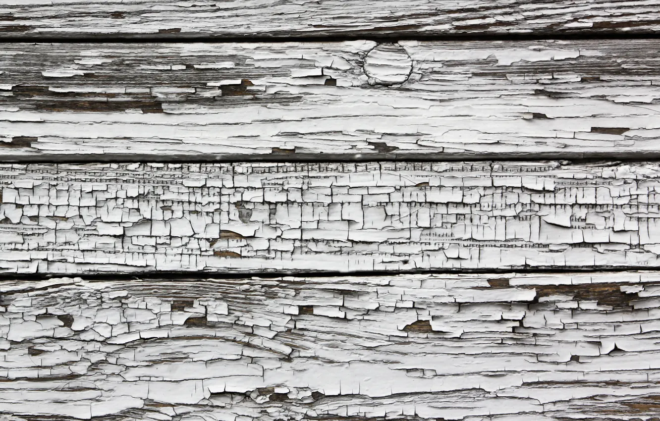Photo wallpaper wood, pattern, paint, white paint