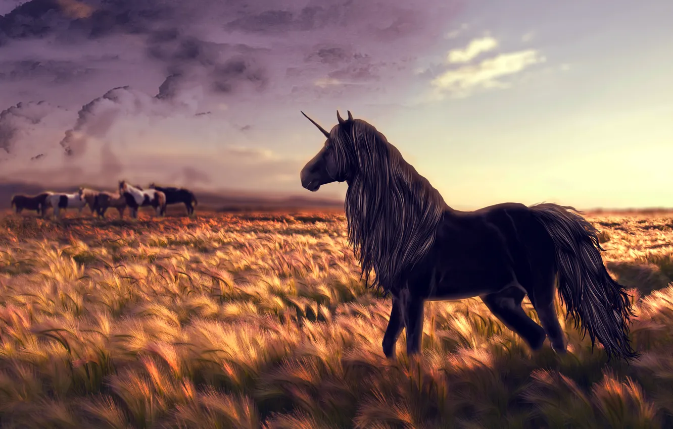 Photo wallpaper field, the sky, clouds, mane, unicorn, tail