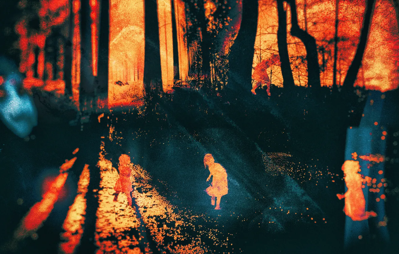 Photo wallpaper forest, night, face, loneliness, girl, horror