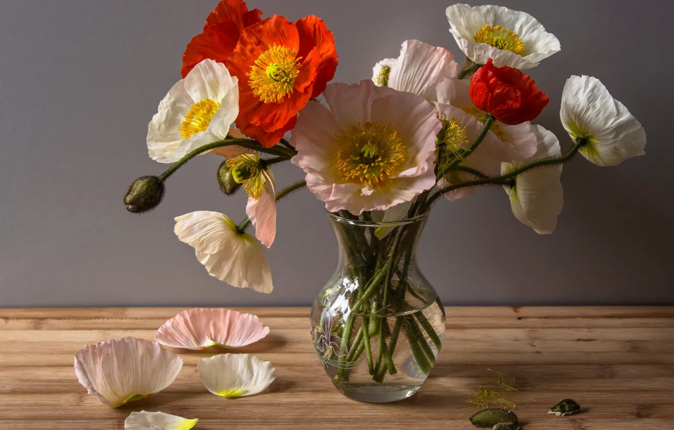 Photo wallpaper Maki, petals, vase, vase, poppies