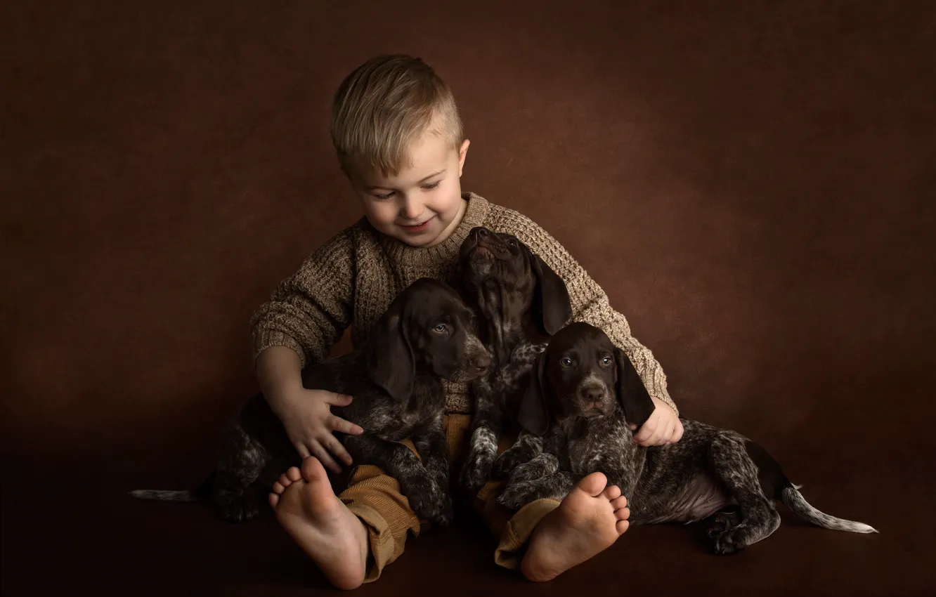 Photo wallpaper dogs, background, mood, boy, puppies, trio, friends, doggie