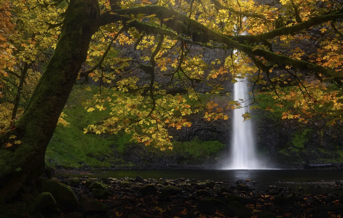 Photo wallpaper autumn, forest, waterfall