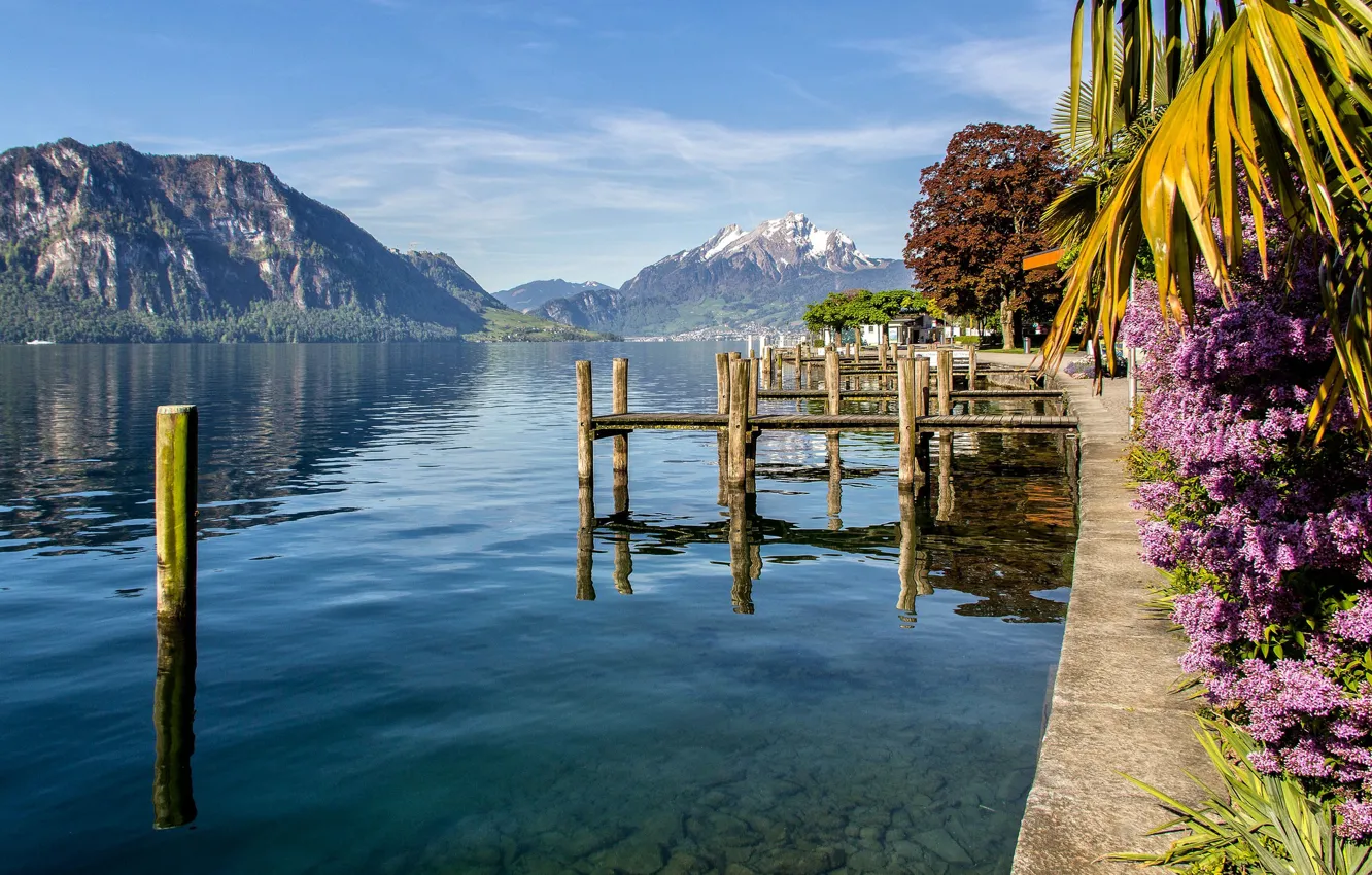 Photo wallpaper mountains, lake, Switzerland, Switzerland, Weggis, Canton of Lucerne