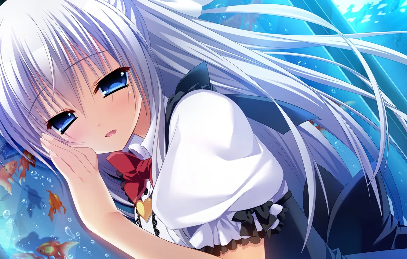 Photo wallpaper look, girl, fish, joy, aquarium, hugs, art, Innocent Girl