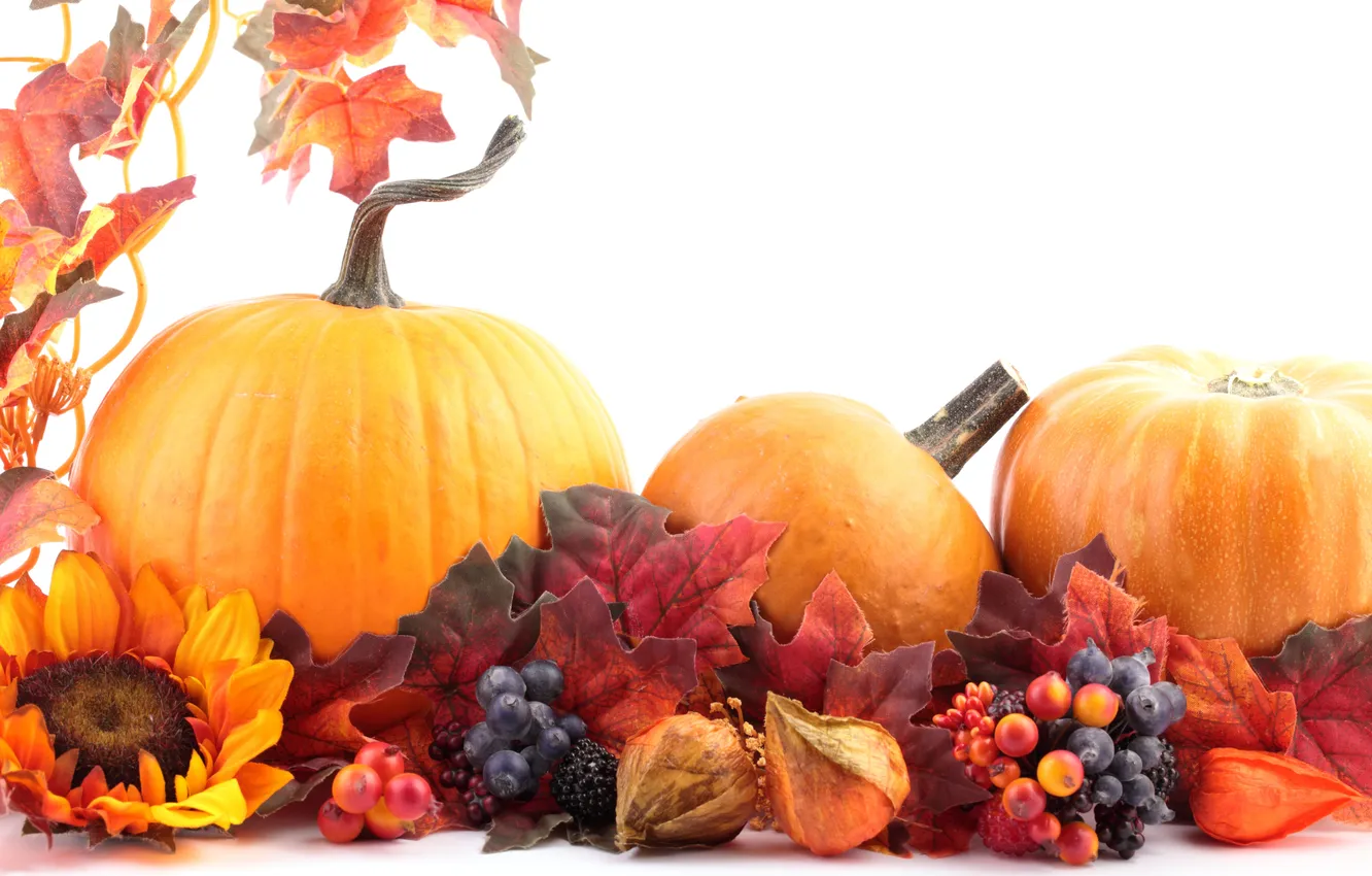 Photo wallpaper autumn, leaves, sunflowers, flowers, berries, raspberry, blueberries, pumpkin