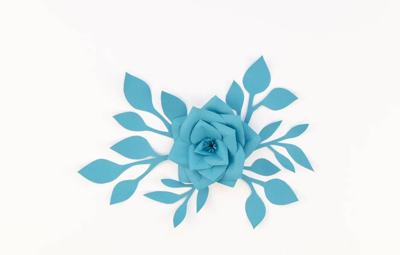 Photo wallpaper white, flower, paper, background, blue