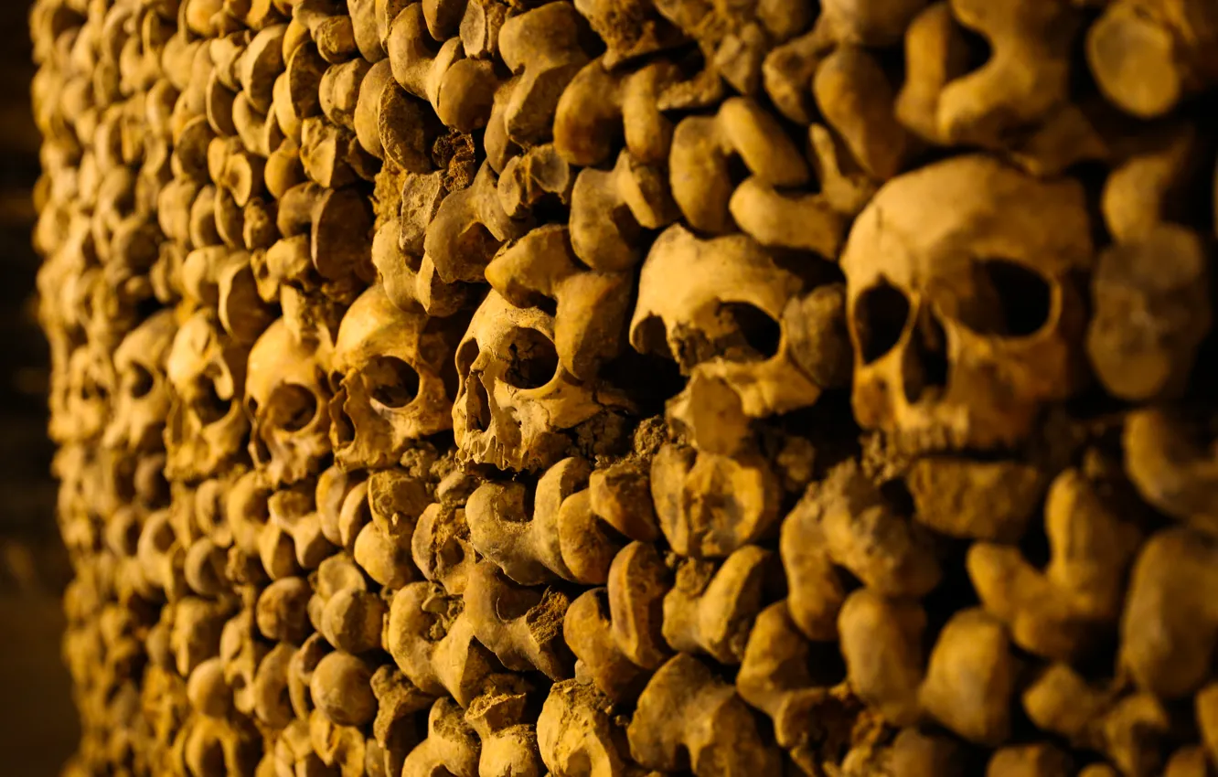 Photo wallpaper Paris, bones, skull, Catacombs
