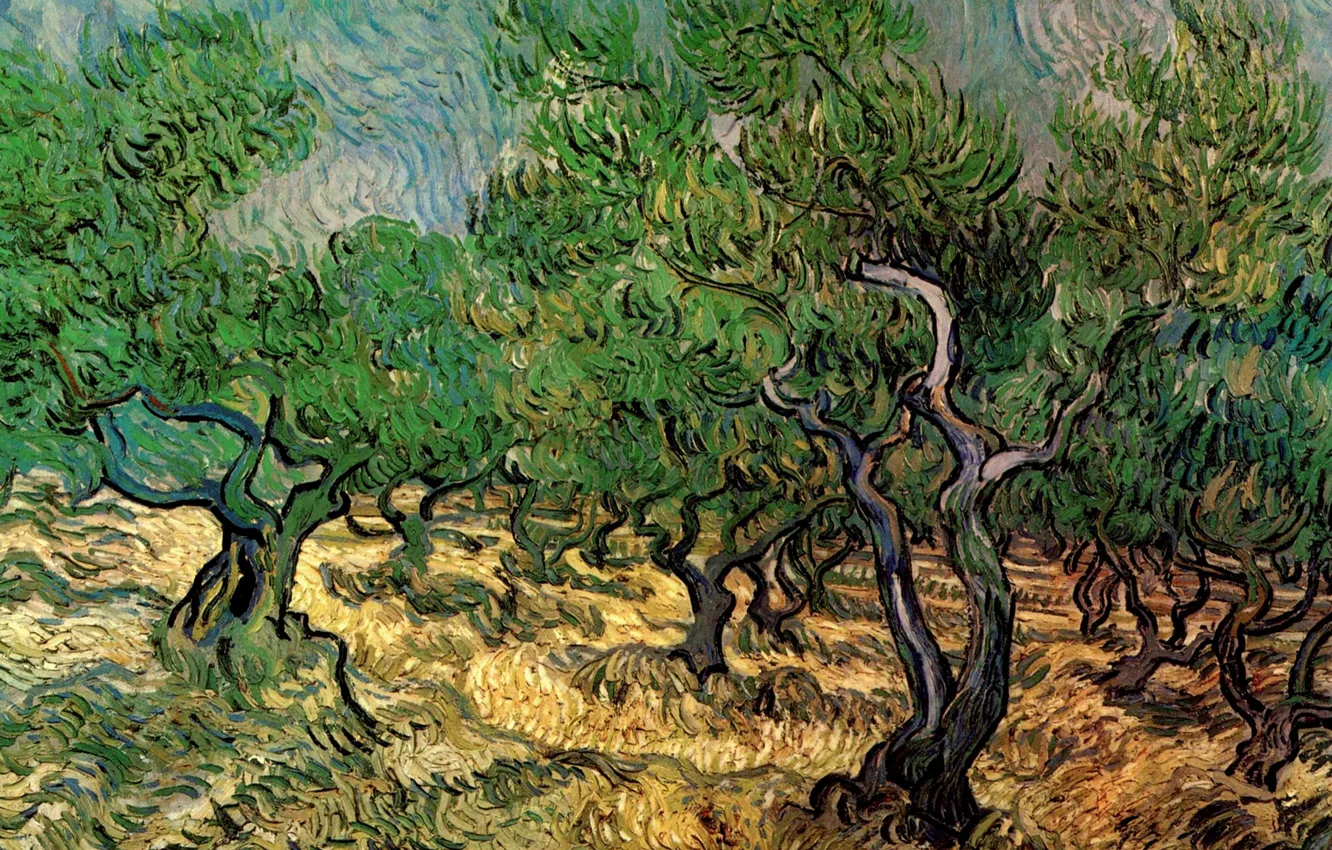 Photo wallpaper trees, Vincent van Gogh, Olive Grove 2