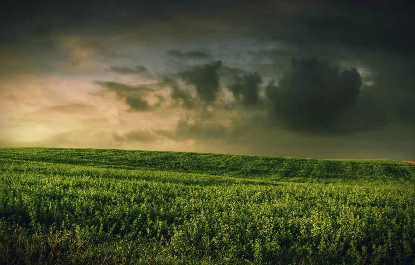 Photo wallpaper field, the sky, grass, clouds
