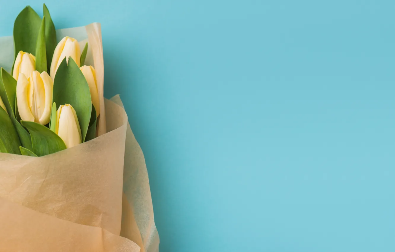 Photo wallpaper flowers, bouquet, tulips, yellow, flowers, romantic, tulips, spring