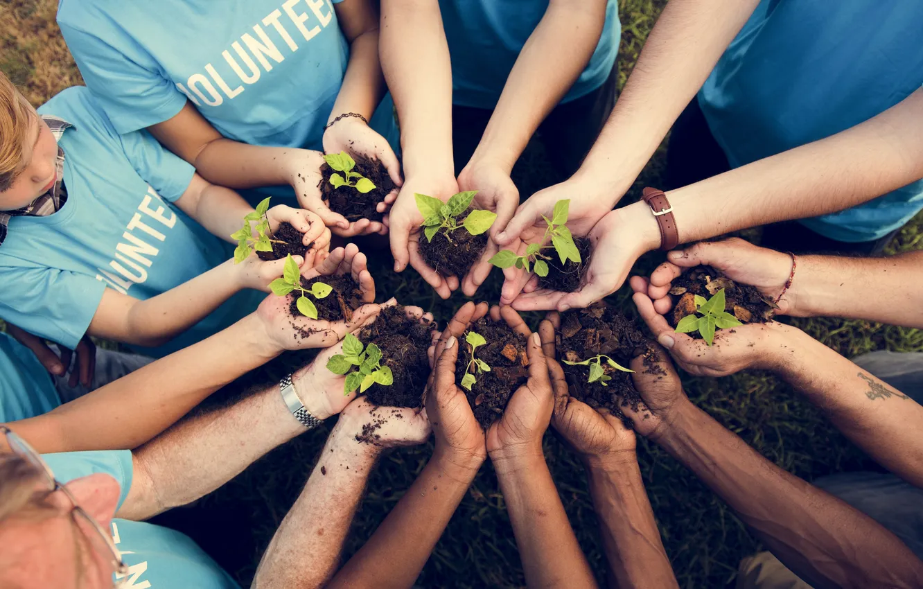 Photo wallpaper children, planting, seedlings