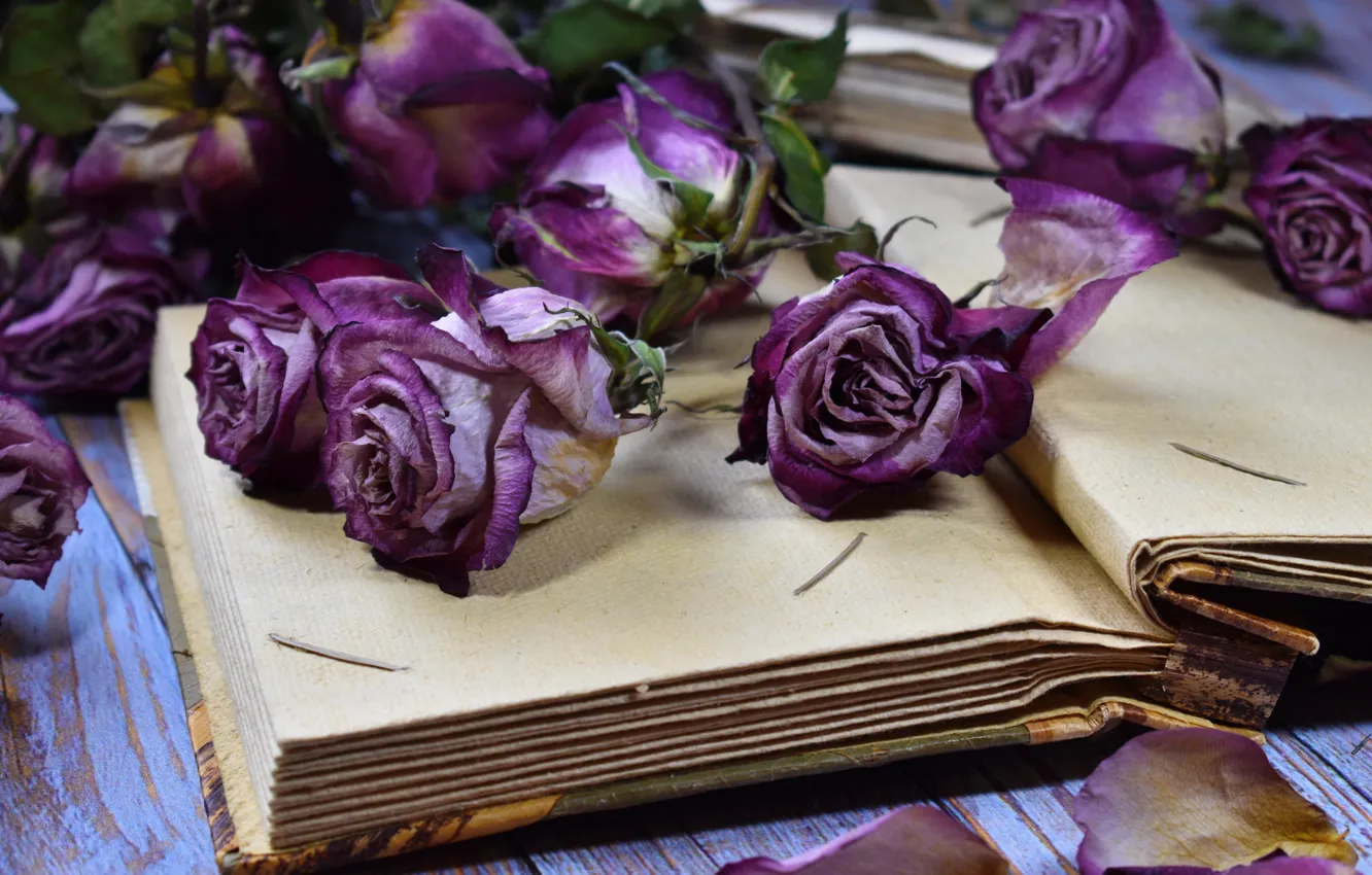 Photo wallpaper flowers, table, roses, petals, book, vintage, Victoria Dunn