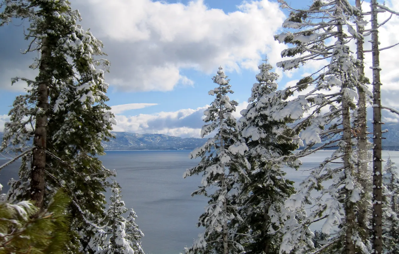 Photo wallpaper winter, snow, nature, ate