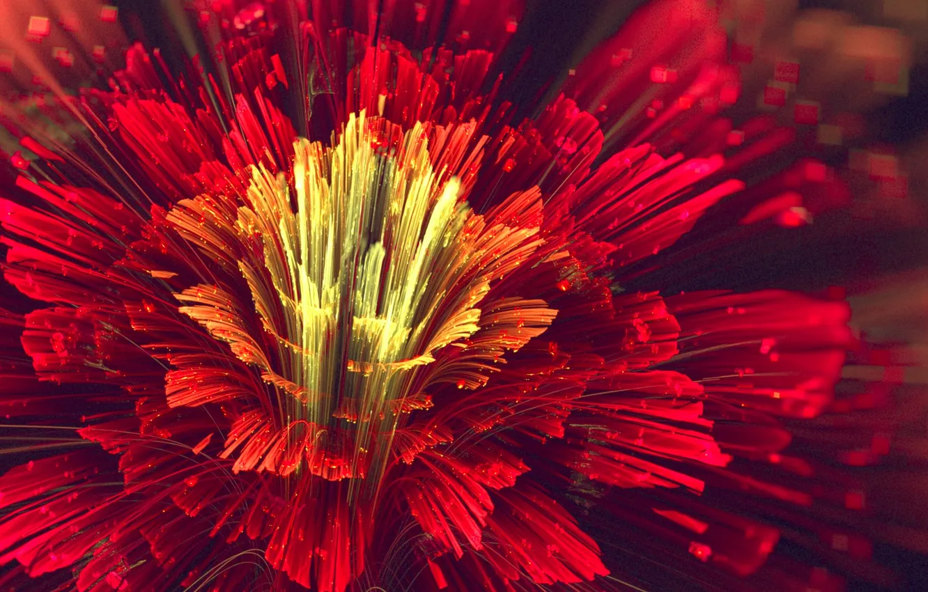 Photo wallpaper flower, red, petals, art