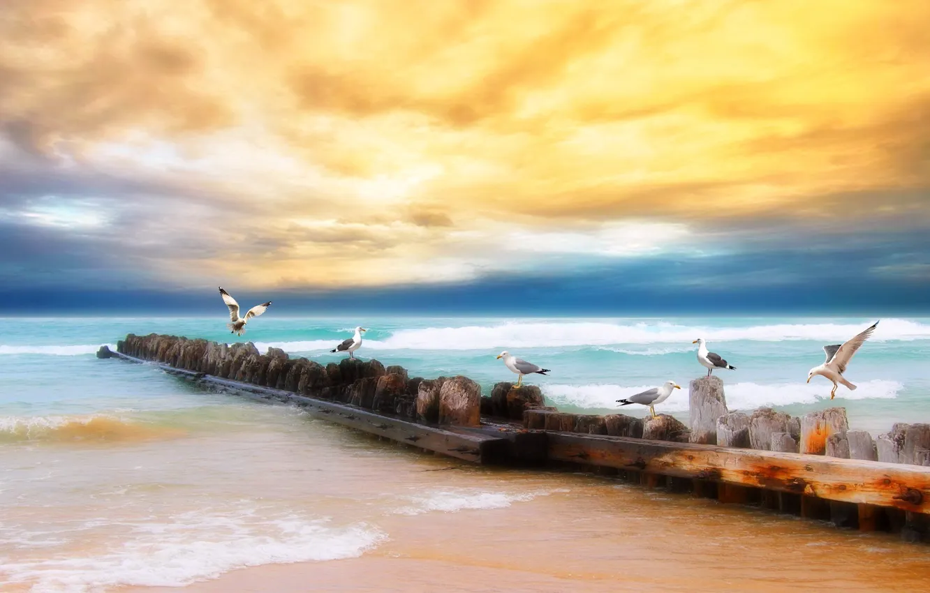 Photo wallpaper sea, the sky, shore, seagulls, hdr