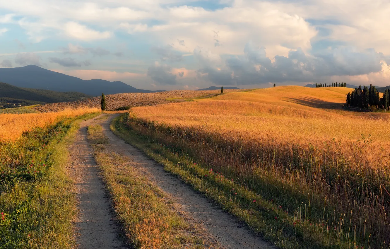 Photo wallpaper road, field, autumn, the sky, grass, clouds, trees, mountains