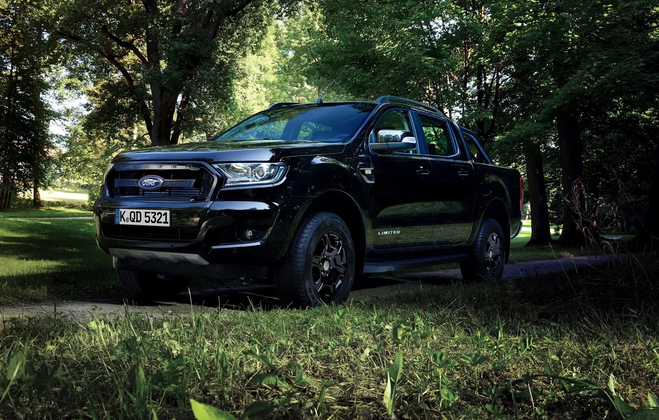 Photo wallpaper black, vegetation, Ford, pickup, Ranger