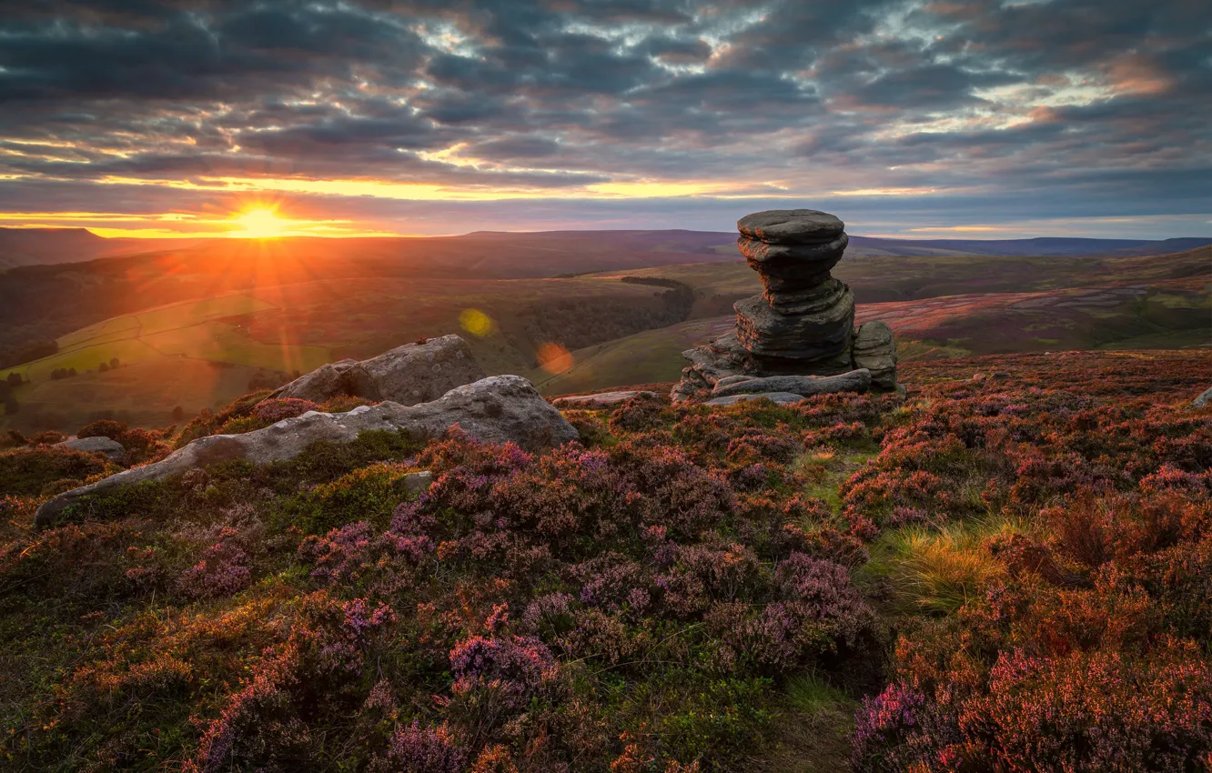 Photo wallpaper the sun, flowers, mountains, stones, dawn, slope, Heather