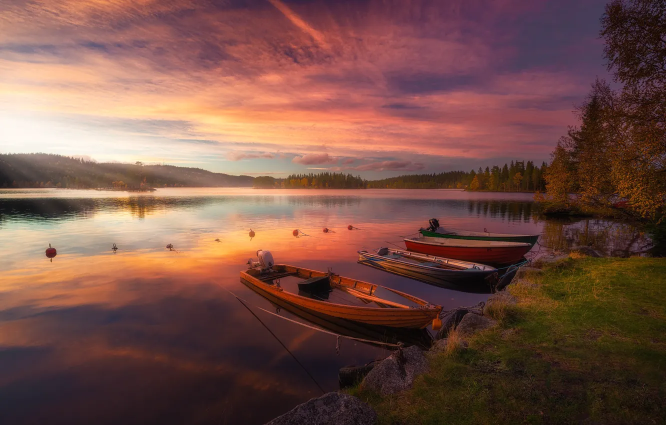 Photo wallpaper forest, landscape, sunset, nature, lake, shore, boat, the evening