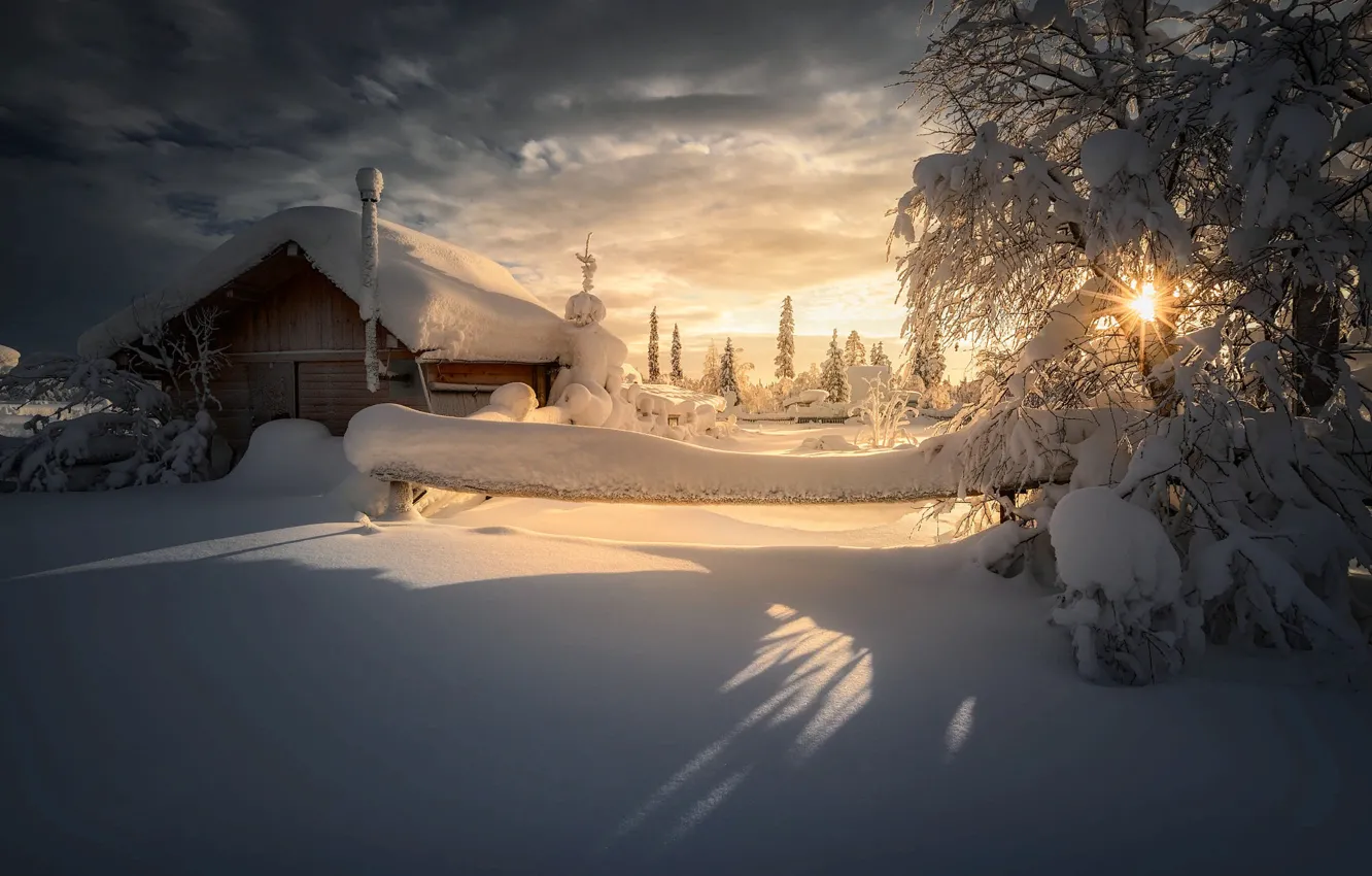 Photo wallpaper winter, the sun, rays, snow, trees, landscape, nature, house