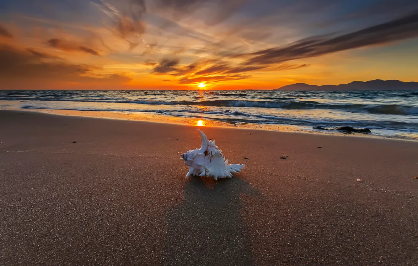 Photo wallpaper sunset, shore, sink, surf, treasures from the sea