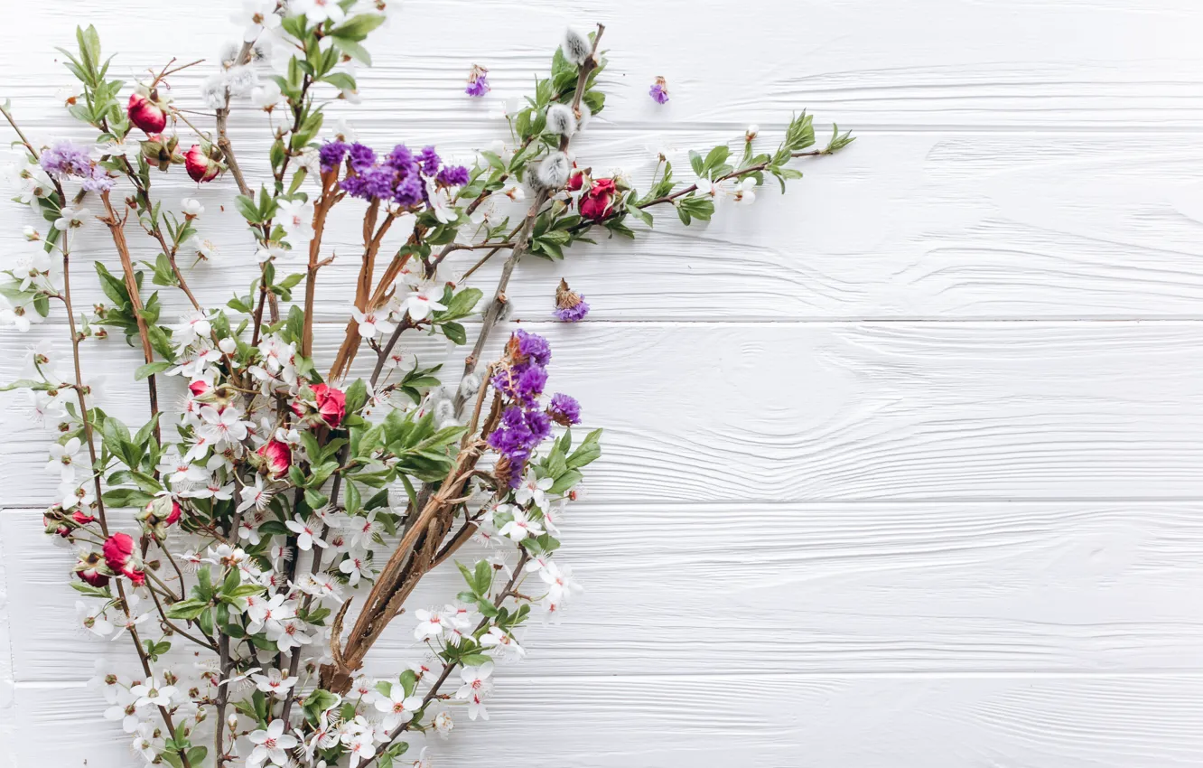 Photo wallpaper flowers, branches, nature, background, spring, flowering