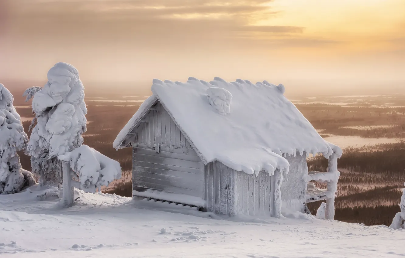 Photo wallpaper winter, snow, trees, landscape, nature, hut, house, forest