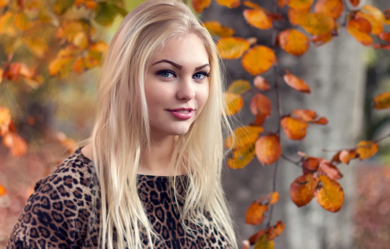 Photo wallpaper look, girl, hair, Blondie