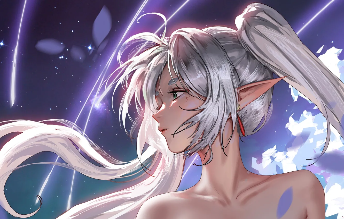 Photo wallpaper girl, art, artwork, Character, elven, Freeze, Sousou No Frieren