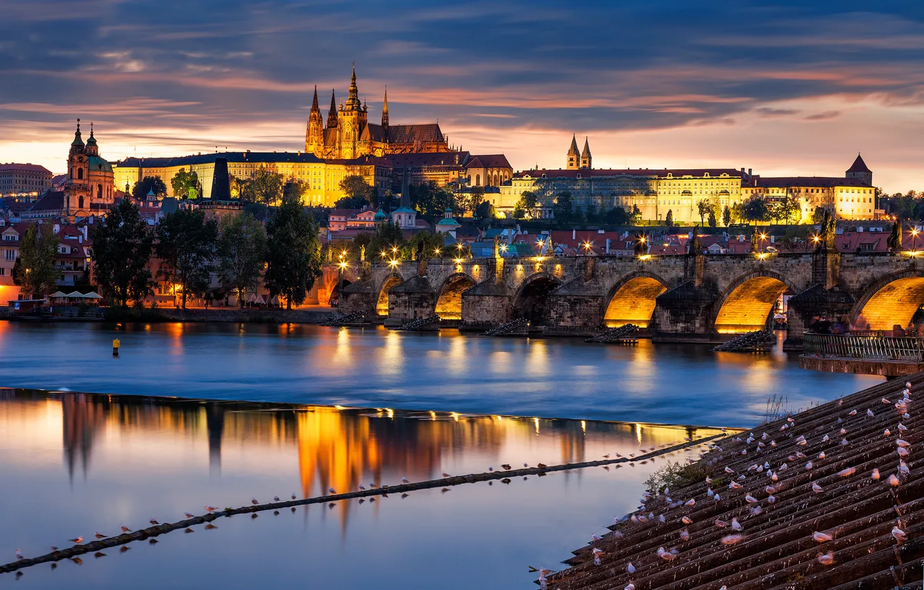 Photo wallpaper bridge, the city, river, building, the evening, Prague, Czech Republic, architecture