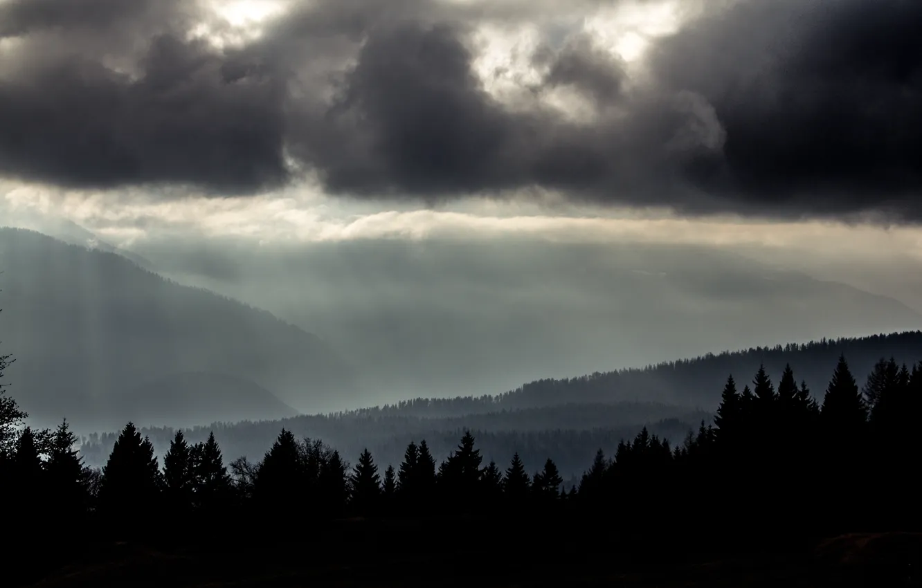 Photo wallpaper forest, the sky, trees, mountains, clouds, nature